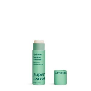 Leaves Bar Lip Balm Mint
